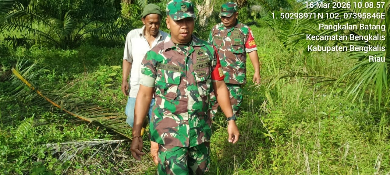 Cegah Karhutla Babinsa Koramil Laksanakan Patroli Di Kec.Bengkalis